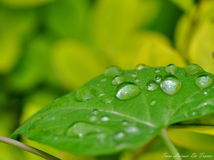 DSC_1102_副本.jpg
