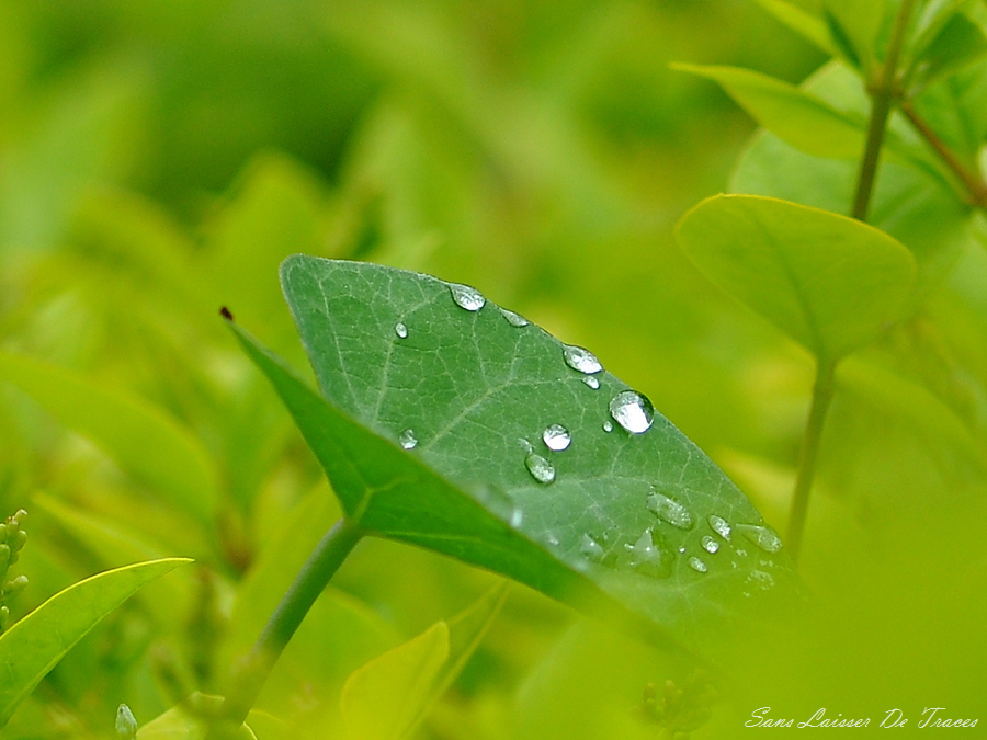 DSC_1112_副本.jpg