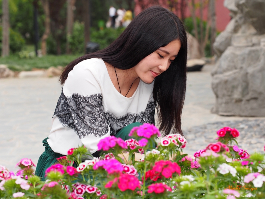 P5015615a.jpg
