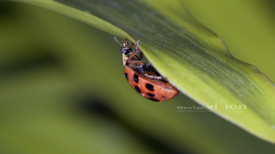 DSC_9376.jpg