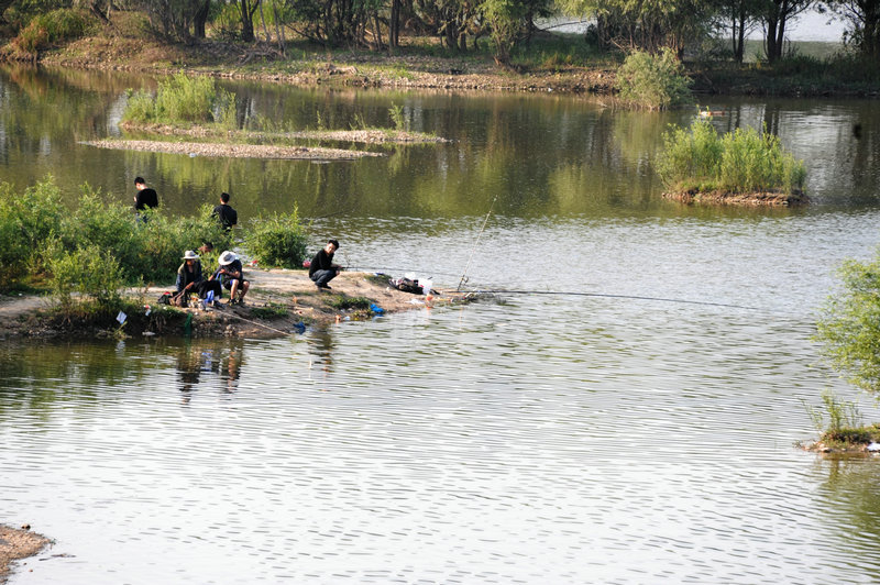 DSC_7290_HZP.jpg