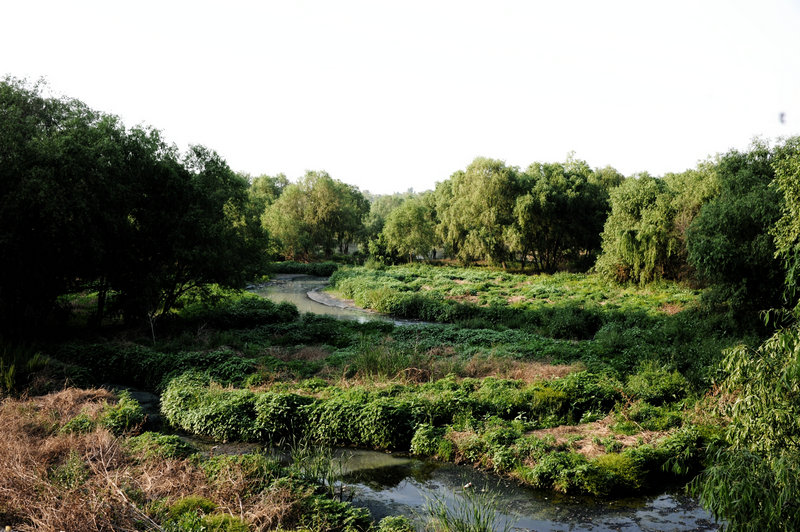 DSC_7292_HZP.jpg