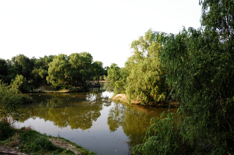 DSC_7293_HZP.jpg