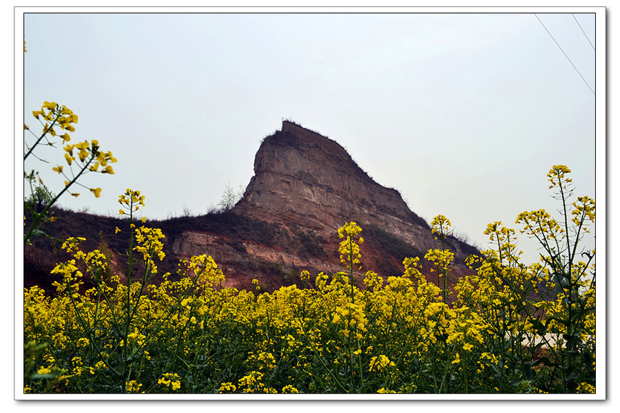 DSC_2462_副本.jpg