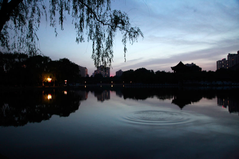 _MG_3700.jpg