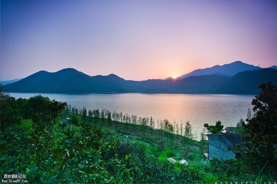 2013041702.jpg
