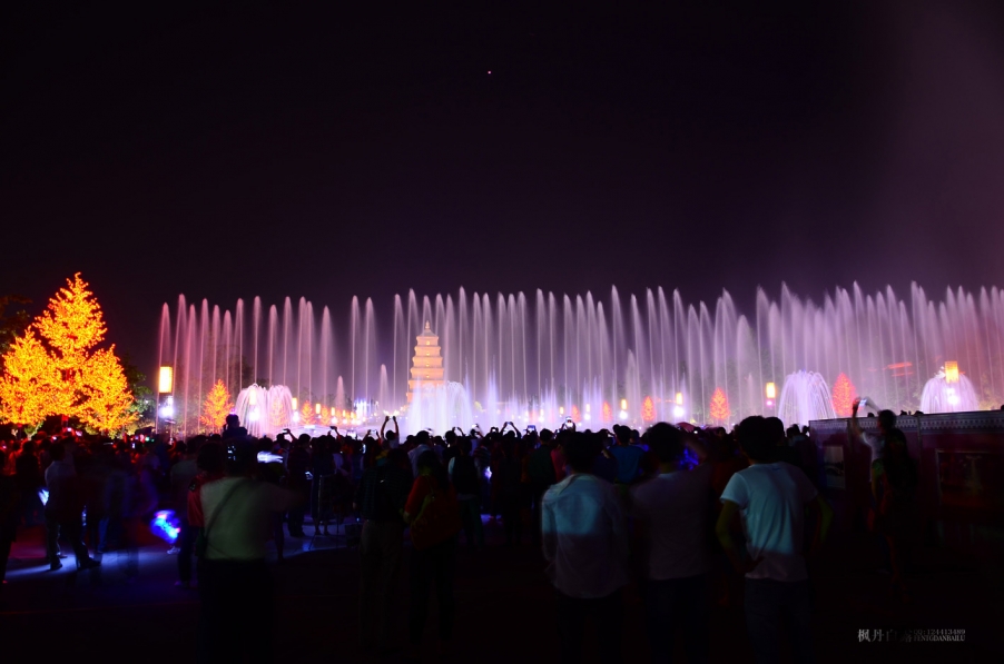 DSC_8722.jpg