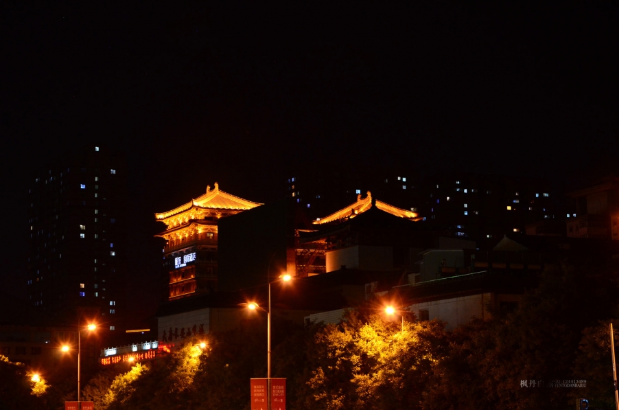 DSC_8847.jpg