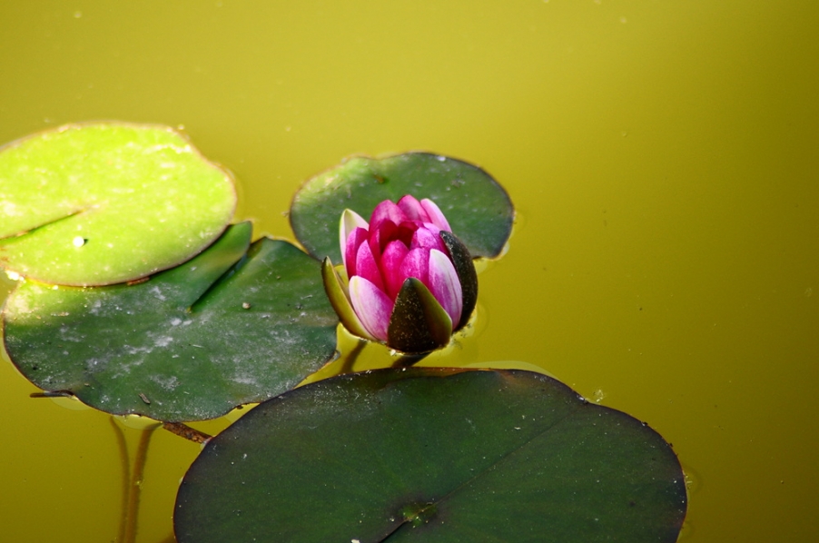 DSC_0770_副本.jpg