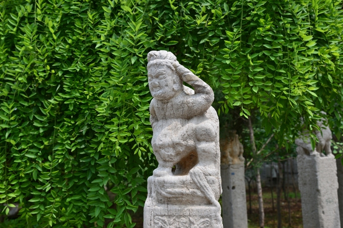 DSC_2270.JPG