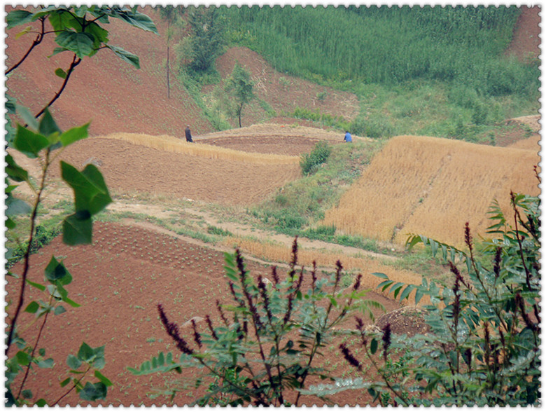 DSC07077_副本.jpg
