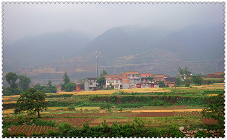DSC07326_副本_副本.jpg