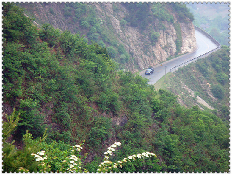 DSC07198_副本_副本.jpg