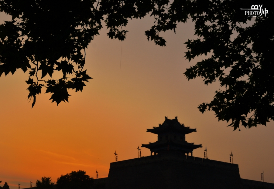 DSC_7433_副本.jpg