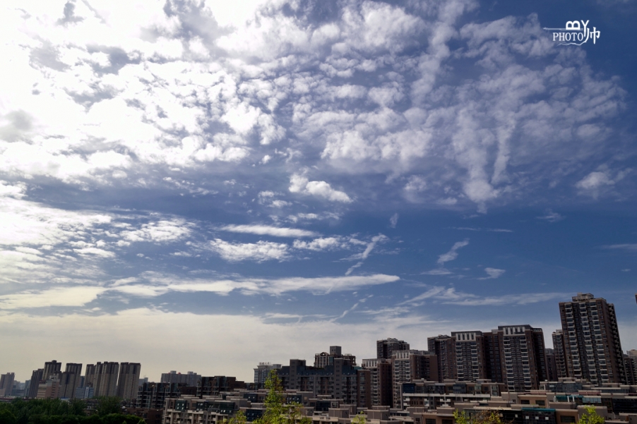 DSC_7616_副本.jpg