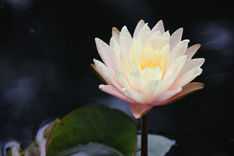 IMG_0720_副本.jpg