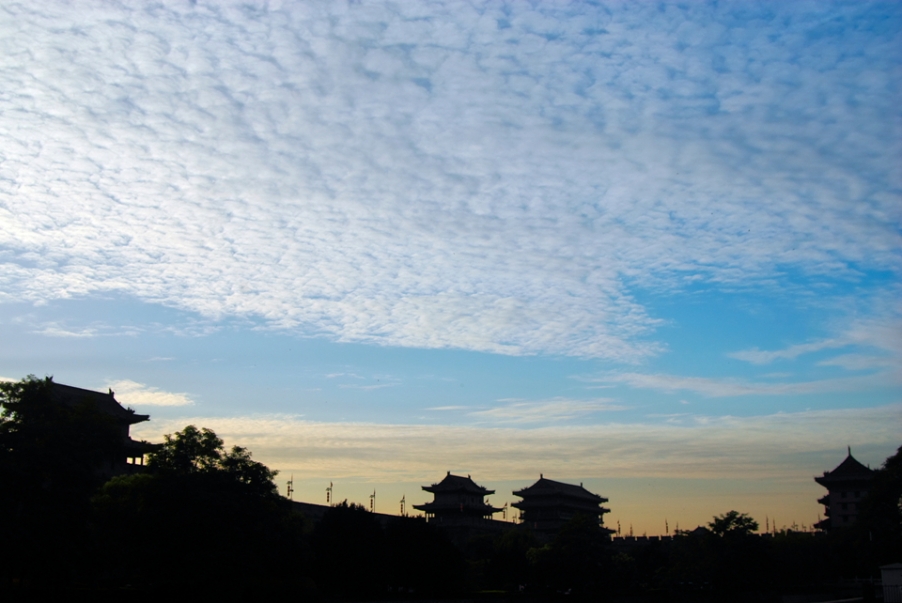 IMGP4379.jpg