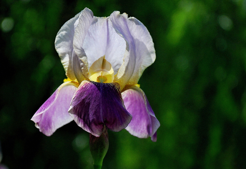 DSC_0145.jpg