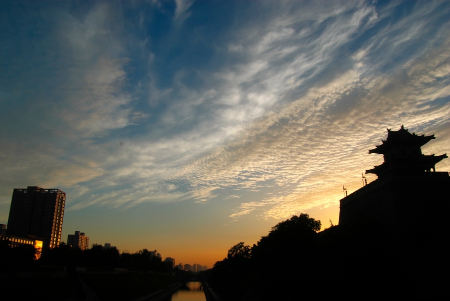 IMGP4406.jpg
