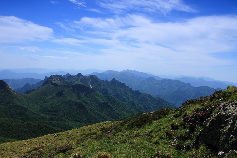 秦岭光头山18.JPG