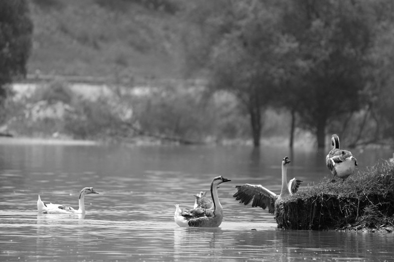 IMG_0903_副本.jpg
