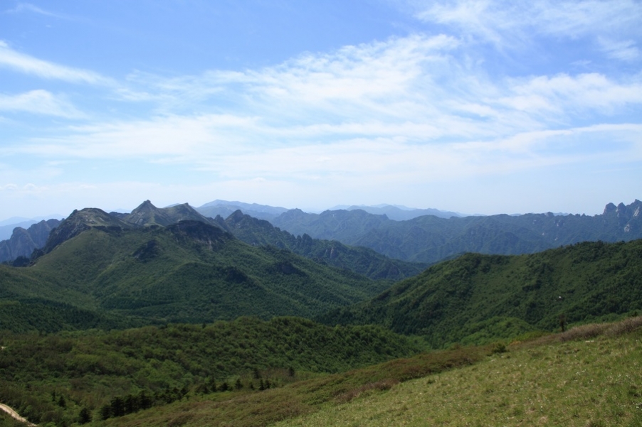 植物园77.jpg
