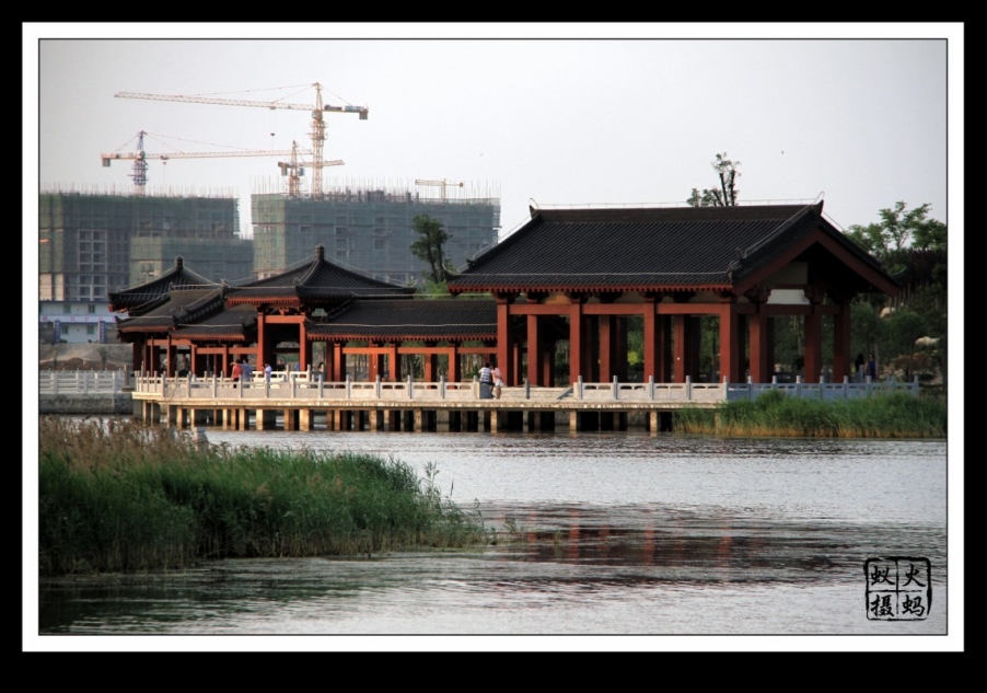 QQ图片20130607101503.jpg