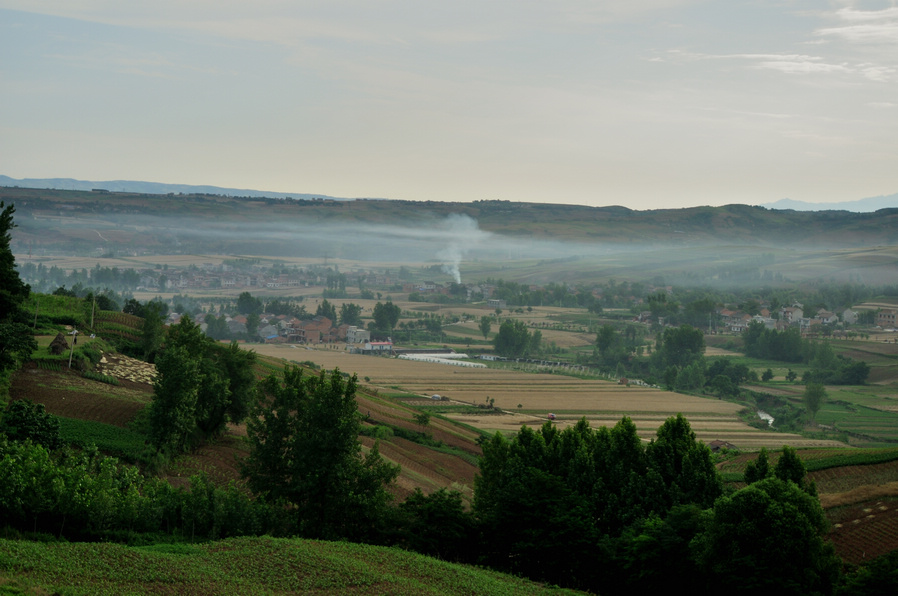 DSC_9551.jpg