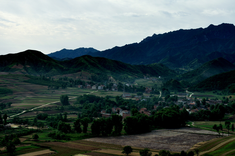DSC_9659.jpg