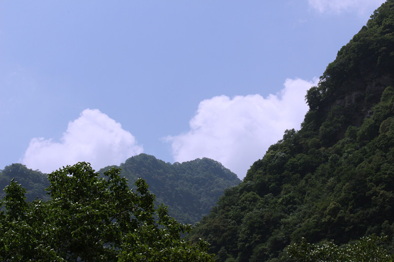 IMG_1184_副本.jpg
