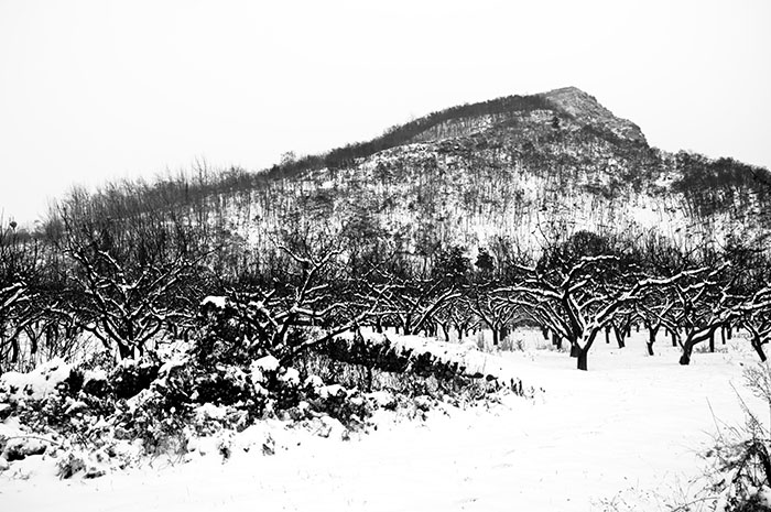 _DSC0325副本.jpg