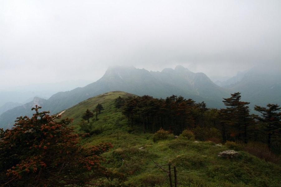 植物园123.jpg