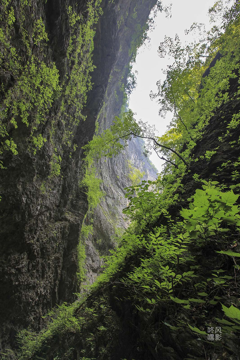 20130615_0407.jpg