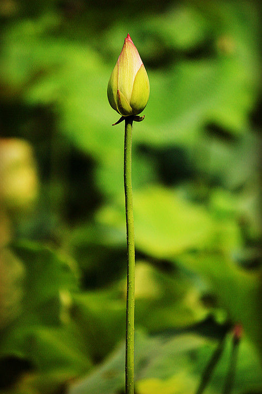 IMG_1947_副本.jpg