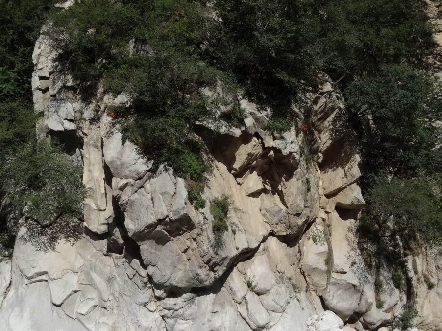 DSC01810_调整大小_调整大小.jpg