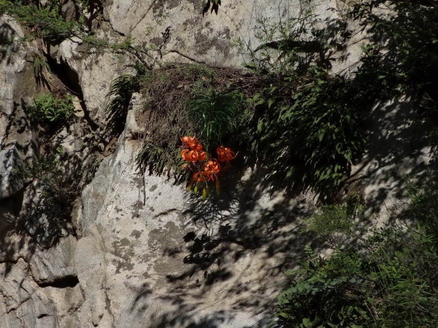 DSC01811_调整大小_调整大小.jpg