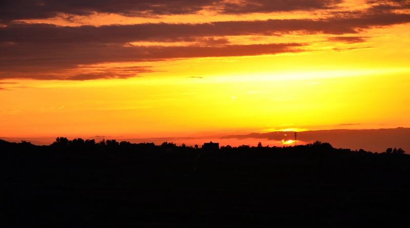 DSC_318.jpg