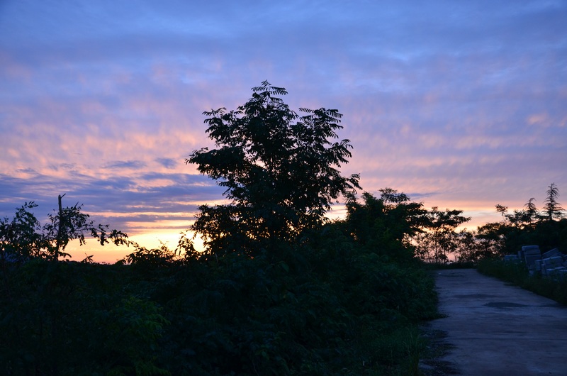 DSC_320.jpg