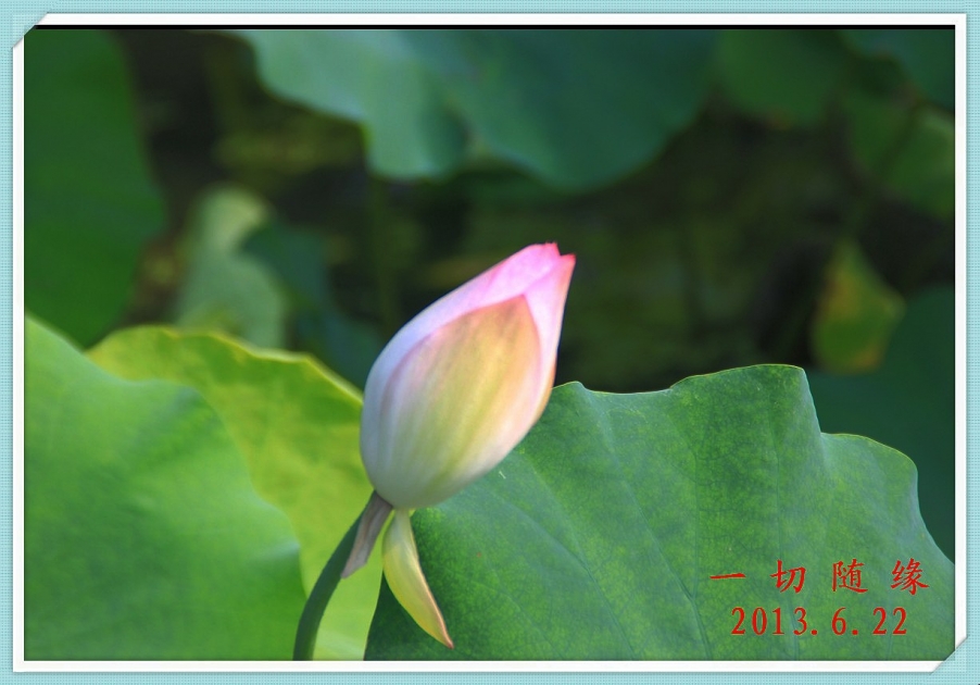 IMG_1507_副本.jpg
