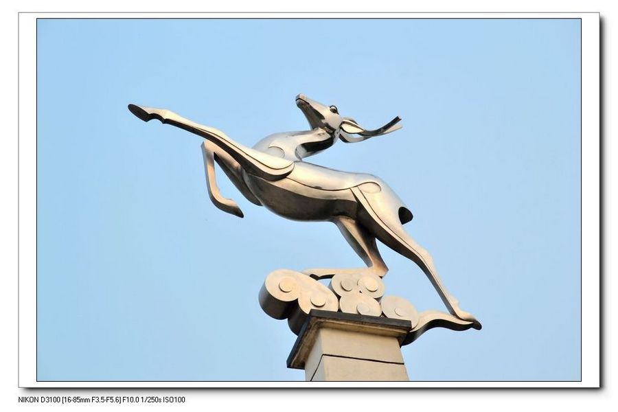 nEO_IMG_DSC_1461.jpg