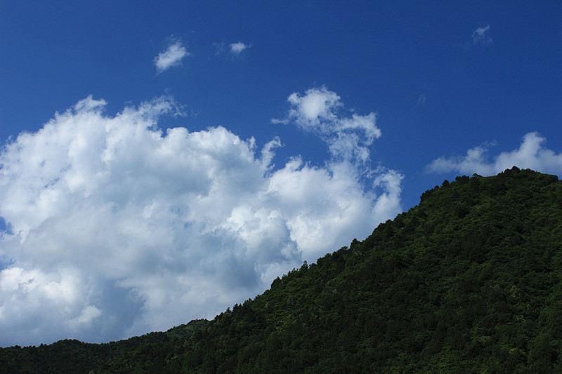 IMG_2769_副本.jpg