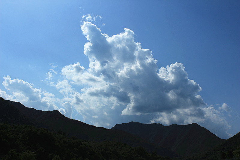 IMG_2771_副本.jpg
