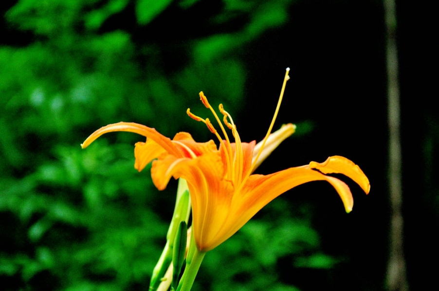 DSC_0695.jpg