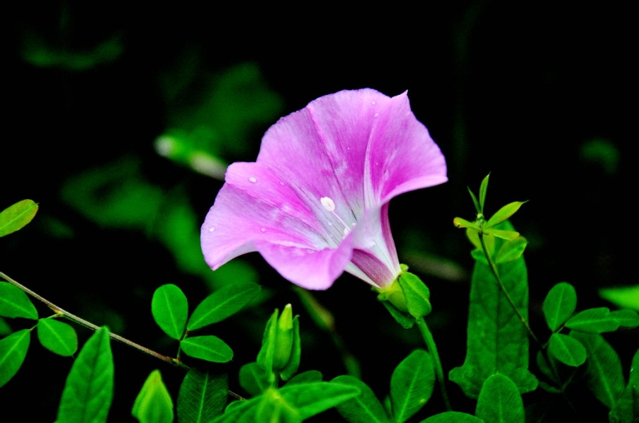 DSC_0687.jpg