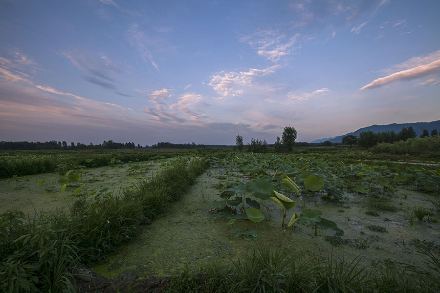 20130625_1070.jpg