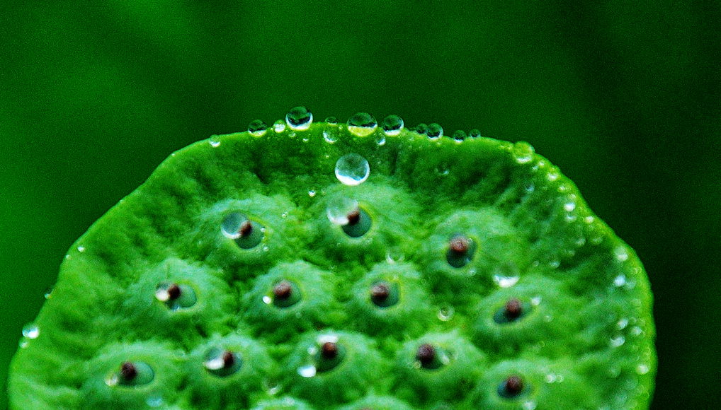 DSC_0672.jpg