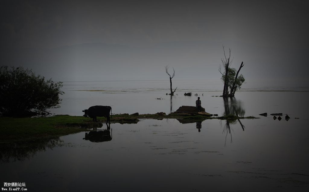 IMGP0945_副本.jpg