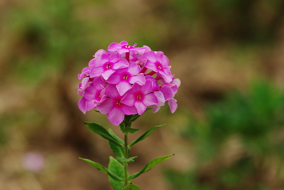IMGP8359.jpg