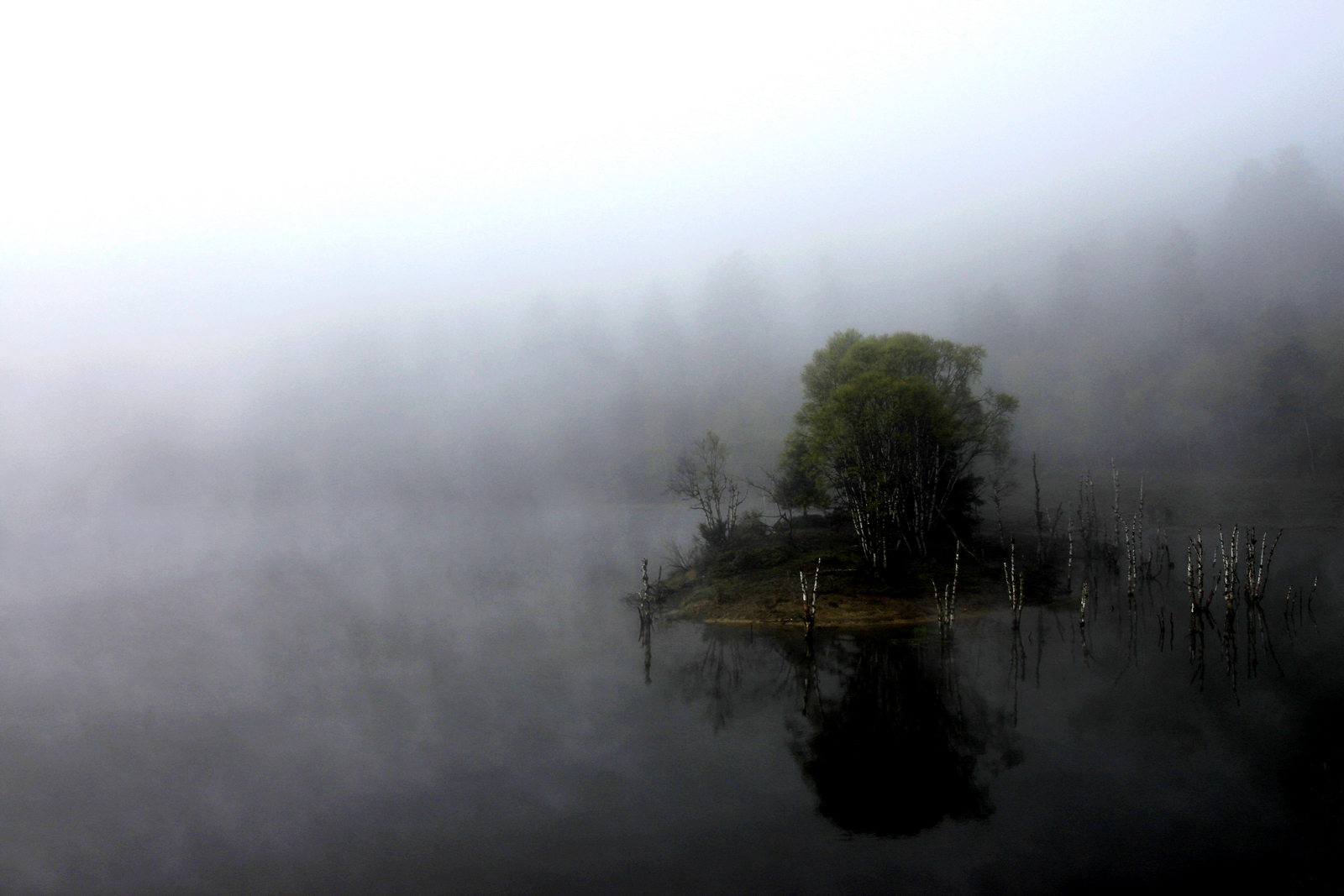 _MG_0474.jpg