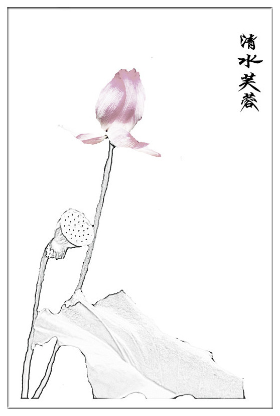 副本_副本_副本_副本.jpg